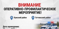 МВД России проводит проверки безопасности в Лужском и Гатчинском районах - 47Channel.Ru