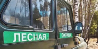 Томский областной суд взыскал с нарушителя расходы на тушение лесного пожара - Департамент лесного хозяйства