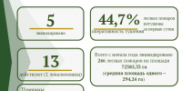 За прошедшую неделю в Томской области ликвидированы 56 лесных пожаров - Департамент лесного хозяйства