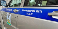 В Белгороде гость украл телефон у спящей приятельницы - Сетевое издание Победа 31