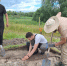 Курчатовского краеведческого музея:   новый финальнопалеолитический/мезолитический   памятник Курской области. - Администрация МО Курчатов