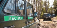 Томский суд взыскал с нарушителя 268 тыс. рублей на тушение лесного пожара - NIATomsk.Ru