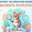 Может ли обычная мышь вызвать болезнь? - Народное слово