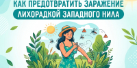 Лето, комары, опасность: как предотвратить заражение лихорадкой Западного Нила - Народное слово