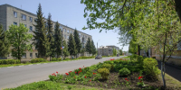Курян не будут штрафовать за некошеную возле домов траву - Курская правда