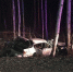 ab8a373e989606a917653b7029be3692.jpg - Ozersk74.Ru