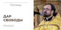 Дар свободы - Феодоровский собор