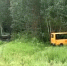 После ДТП со школьным автобусом в Тайшетском округе СК изучает документы о состоянии транспорта и медосмотре водителя - ИА Тайшет24