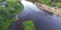Учёные Коми обнаружили два новых вида водорослей, один из которых пригоден для биотоплива и лекарств - Pg11.Ru