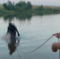 В Саратове и области утонули четыре человека, 12-летнего мальчика спасли - Общественное мнение