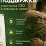 06.07.2026 | Единый федеральный медико-психологический чат поддержки участников СВО и их семей начал работу во ВКонтакте - Главное управление по архивному делу
