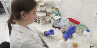 ЦОК АПК о содержании глютена в продуктах для диетического питания - Агентство Информационных Сообщений