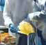О проведении межрегиональных учений - Газета Родной край