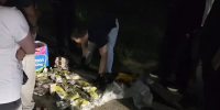 Иномарку с 20 кг наркотиков задержали сотрудники УФСБ Новосибирской области - Бердск-Онлайн.Ru