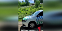 В Тульской области к борьбе с борщевиком подключили искусственный интеллект - ТК Первый Тульский