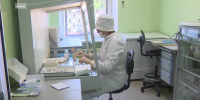 С начала года в больницы Башкирии поступили 5792 пациента после укусов клещей, каждый третий - ребенок | ГТРК «Башкортостан» - ГТРК Башкортостан
