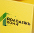 Три проекта из Коми получат два миллиона рублей от Росмолодежи - Bnkomi.Ru