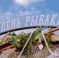 Вкусно, шумно и по-северному душевно: в выходные Мурманск масштабно отпразднует День рыбака - Комитет по туризму