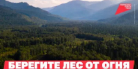 О мерах пожарной безопасности в лесах: памятка для граждан - Бузулукский район