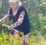 В деревне Юмагужино 91-летняя местная жительница провела мастер-класс по кошению травы | ГТРК «Башкортостан» - ГТРК Башкортостан