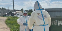 Во Владимире на улице Добросельской проведут дератизацию - Progorod33.Ru