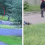 Пьяный водитель сбил мать с двумя детьми на тротуаре: один малыш погиб (18+) - Gubdaily.Ru