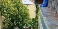 В Агрогородке ликвидировали осиное гнездо в многоквартирном доме - Истра.РФ