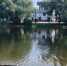 6 человек утонули в водоемах Нижегородской области за прошедшую неделю - ProGorodNN.Ru