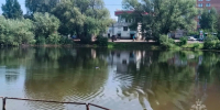6 человек утонули в водоемах Нижегородской области за прошедшую неделю - ProGorodNN.Ru