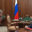 Владимир Путин провел встречу с тульским губернатором Миляевым 6 июля - ИА Тульская служба новостей