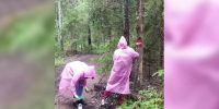 Волонтеры привели в порядок «Тропу южного берега» в заказнике «Лебяжий» - Spbdnevnik.ru