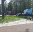 тополиный пух, фото Яны Маевской - Московская правда