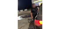 В Усть‑Ордынском задержан мужчина, угрожавший полицейскому на АЗС (Видео) - Weacom.Ru