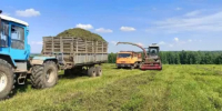 В районе полным ходом идет кормозаготовительная кампания - Балтачевский район
