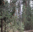-JnngBXCuydss8sifq89ynUqBZ28aDB8v0poCKjRcwK0F9BjFPNFYxN8gCvDlzrWLH1LAN5kyWejbKbm4LBchngd - Рязанские ведомости