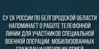 Следственное управление напоминает о работе телефонной линии для участников специальной военной операции, мобилизованных граждан и членов их семей - Следственный комитет