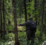 background - Вологда-поиск