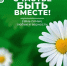 В Тольятти стала известна праздничная программа на День семьи, любви и верности - TltGorod.Ru