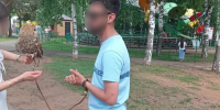 "Птиц эксплуатируют": кировчане бьют тревогу из-за уличных фотографов с совами - Город Киров