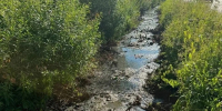 В Рыбинске очистят водоотводную канаву в притоке реки Уткашь - Ярославский регион