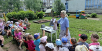 Акция «Братья наши меньшие» - 43edu.Ru