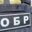 В Карачаево-Черкесии при силовой поддержке спецназа Росгвардии пресечена деятельность экстремистской организации - Росгвардия