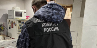 Несовершеннолетний житель Няндомы предстанет перед судом по обвинению  в убийстве матери - Следственный комитет