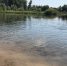Урал в Орске, 06.07.2026 - Ural56.Ru