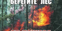 В целях организации проведения профилактических мероприятий, направленных на снижение уровня пожарной опасности в лесах... - Красносулинский район