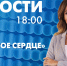 Новости Петербурга к 18:00 - tvspb.ru - ТК Санкт-Петербург