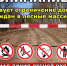 Ограничения посещения лесного массива - Комитет по лесному хозяйству