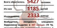 Почти 5,5 тыс. человек пострадали в Татарстане от укусов клещей с марта-2026 - ИА Татар-информ