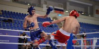Сборная Подмосковья выиграла финал Спартакиады учащихся по кикбоксингу - РТВ-Подмосковье