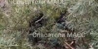 В Новосибирске манекен на набережной приняли за тело женщины - КП-Новосибирск